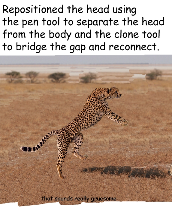 Creation of No Hurry: Step 3